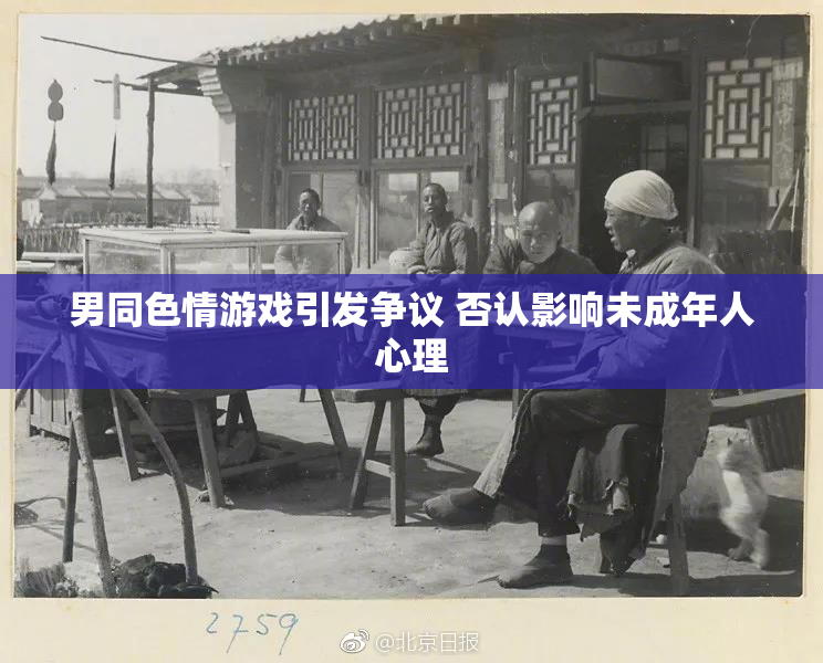 男同色情游戏引发争议 否认影响未成年人心理