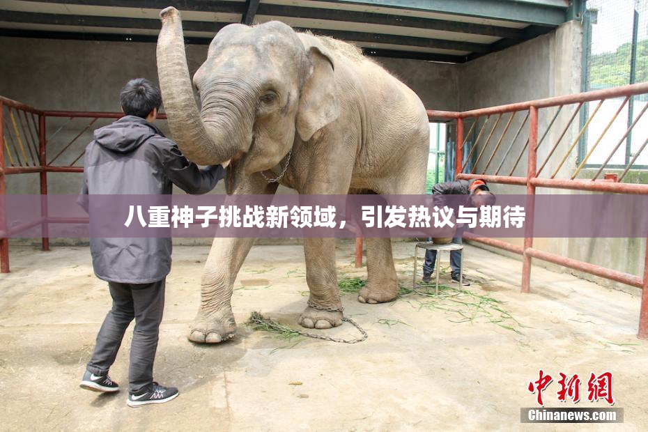 八重神子挑战新领域，引发热议与期待