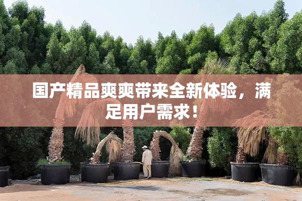 国产精品爽爽带来全新体验，满足用户需求！