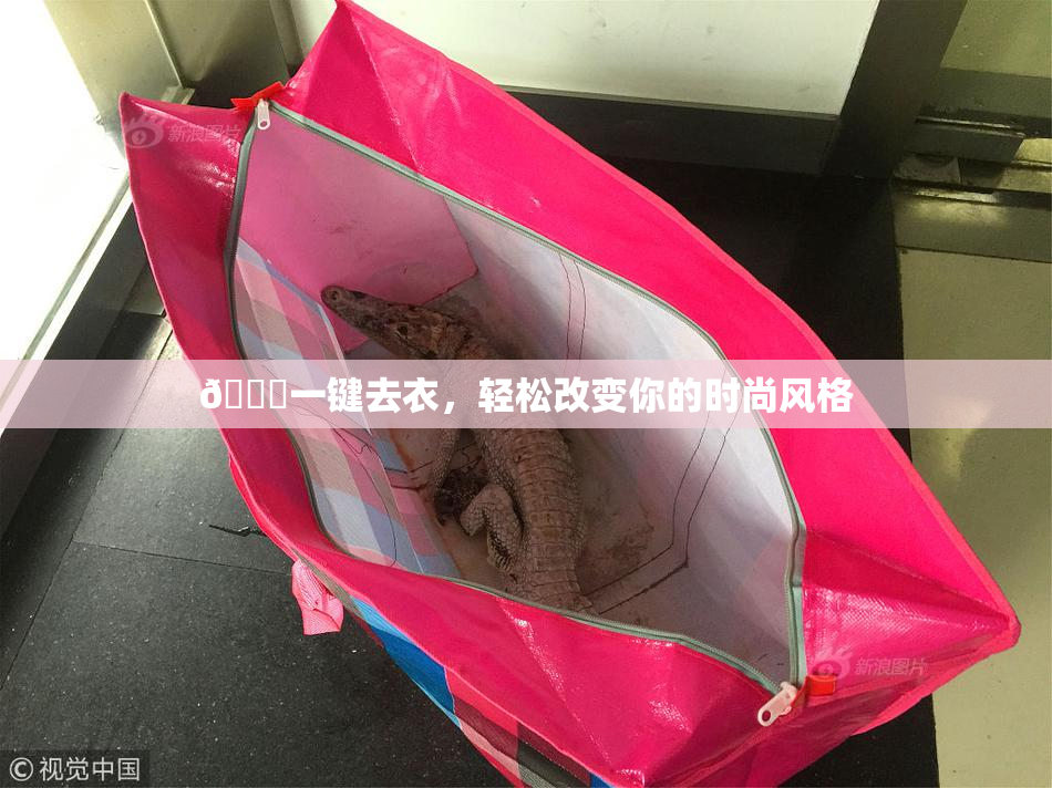 🔞一键去衣，轻松改变你的时尚风格