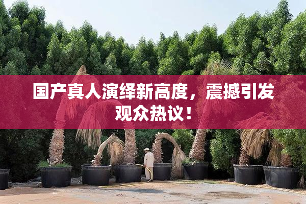 国产真人演绎新高度，震撼引发观众热议！