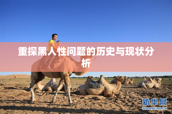 重探黑人性问题的历史与现状分析