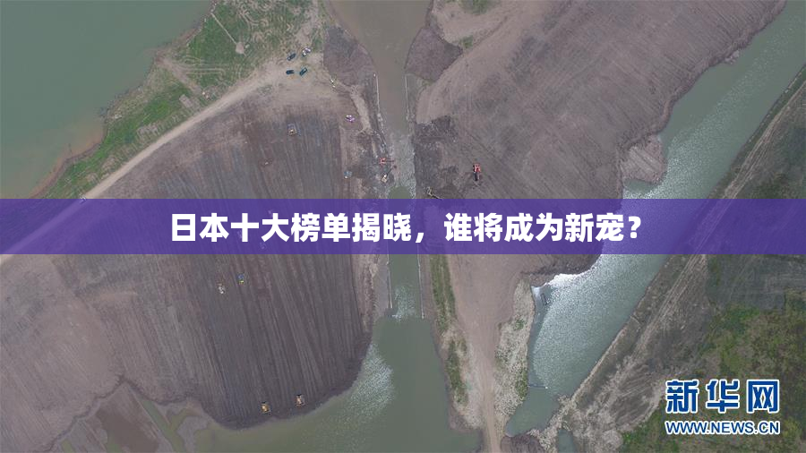 日本十大榜单揭晓，谁将成为新宠？