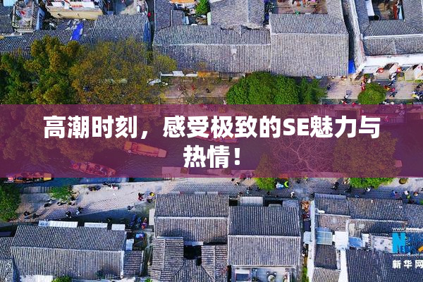 高潮时刻，感受极致的SE魅力与热情！