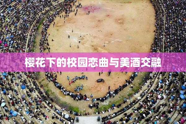 樱花下的校园恋曲与美酒交融