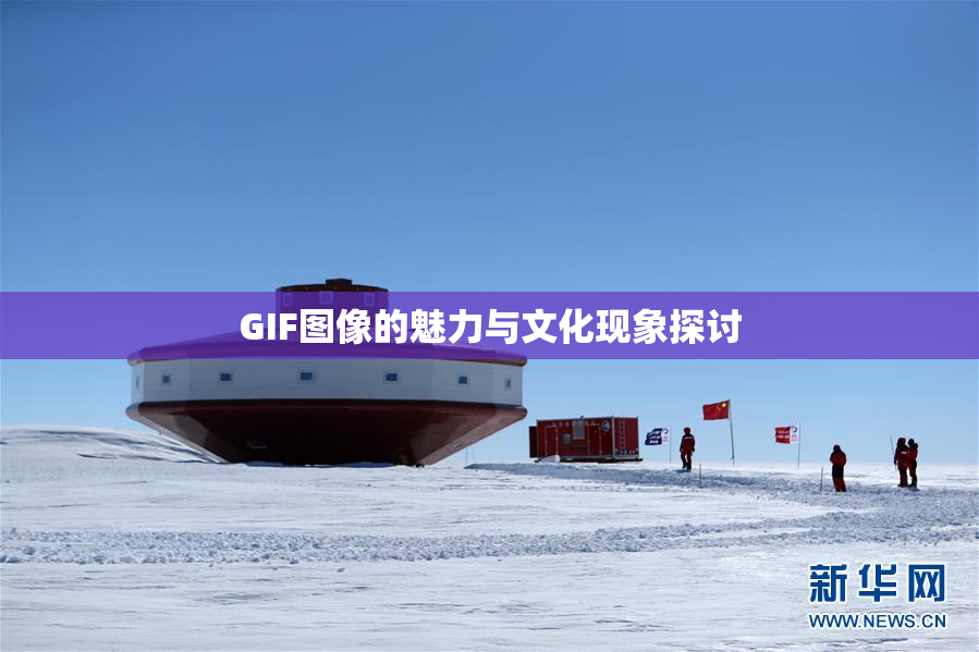 GIF图像的魅力与文化现象探讨