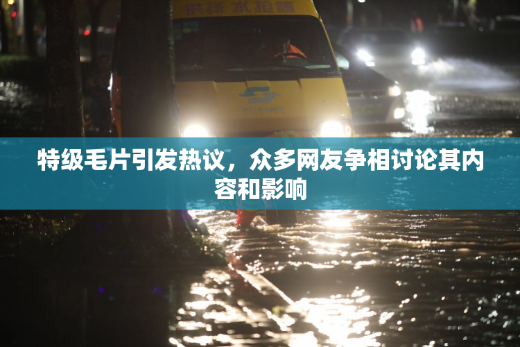 特级毛片引发热议，众多网友争相讨论其内容和影响