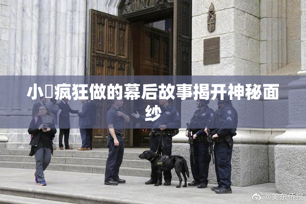 小泬疯狂做的幕后故事揭开神秘面纱