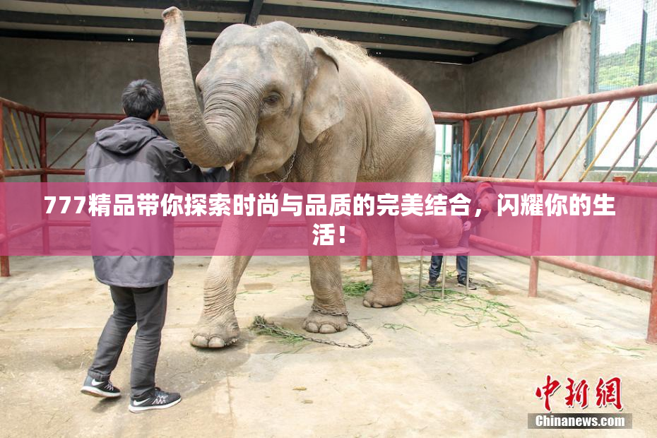777精品带你探索时尚与品质的完美结合，闪耀你的生活！