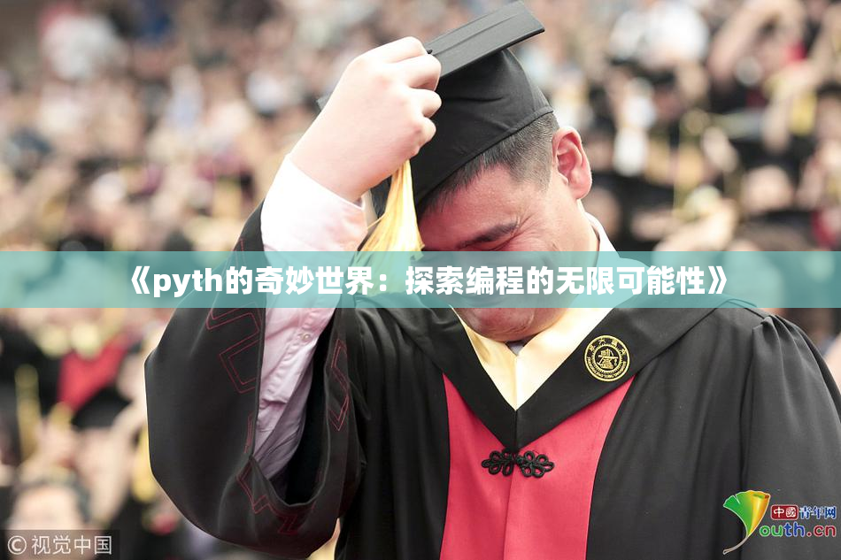 《pyth的奇妙世界：探索编程的无限可能性》