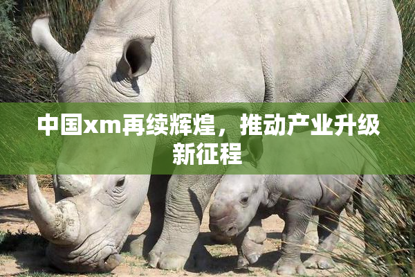 中国xm再续辉煌，推动产业升级新征程