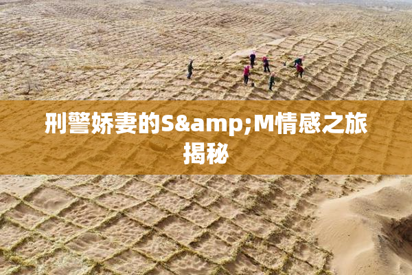 刑警娇妻的S&M情感之旅揭秘