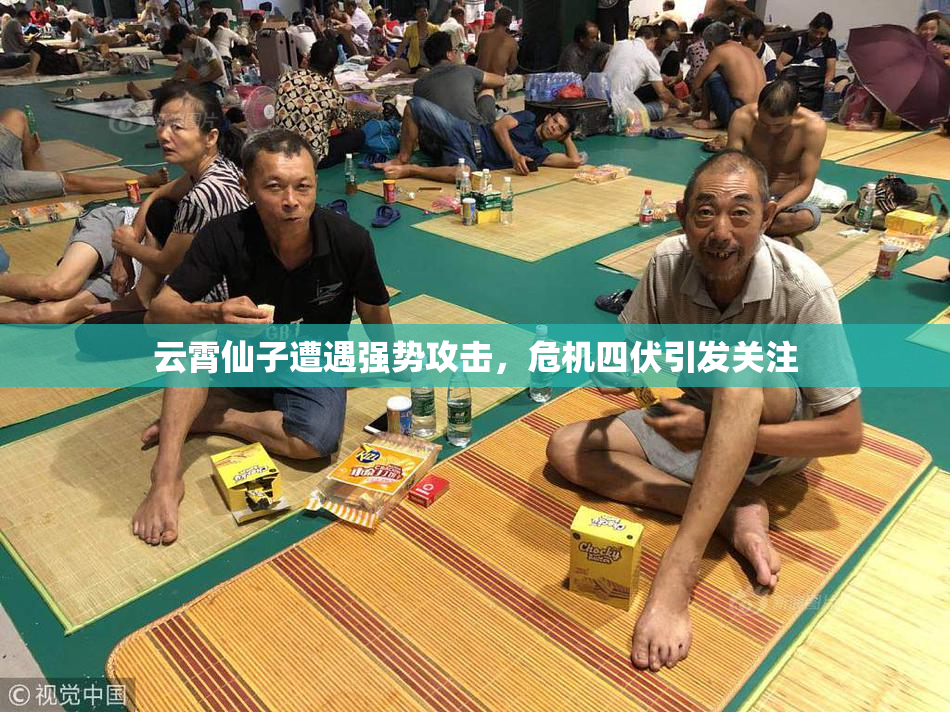 云霄仙子遭遇强势攻击，危机四伏引发关注