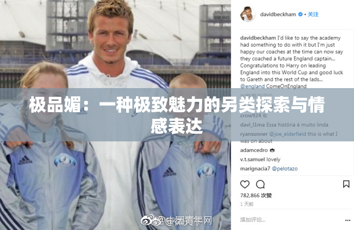 极品媚：一种极致魅力的另类探索与情感表达