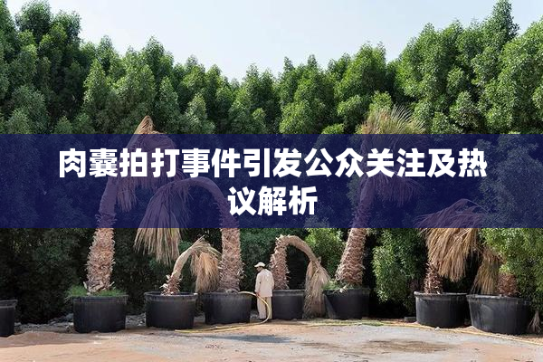 肉囊拍打事件引发公众关注及热议解析