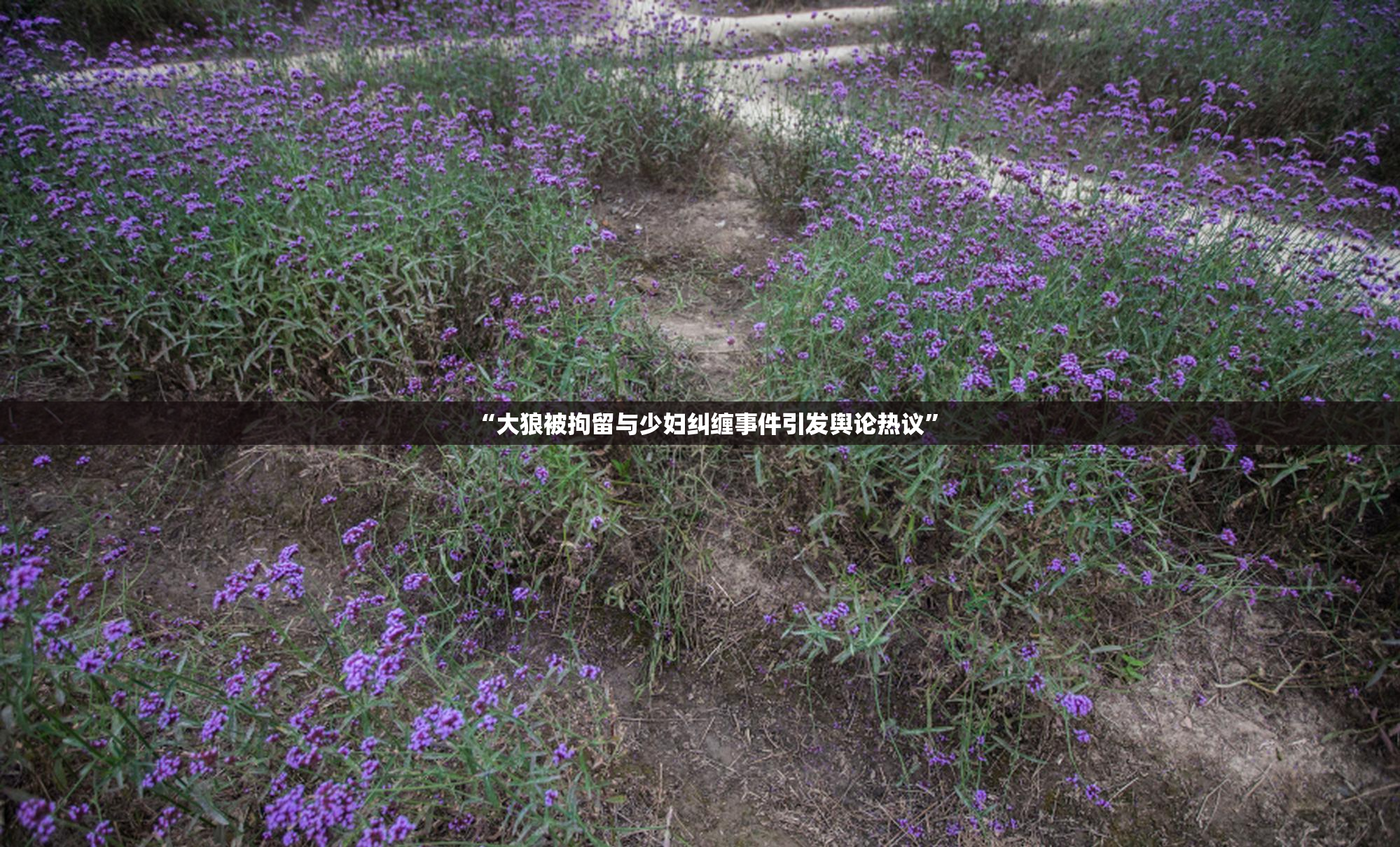 “大狼被拘留与少妇纠缠事件引发舆论热议”