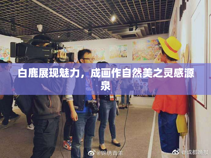 白鹿展现魅力，成画作自然美之灵感源泉