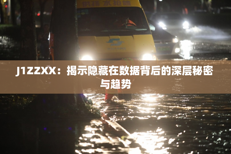J1ZZXX：揭示隐藏在数据背后的深层秘密与趋势