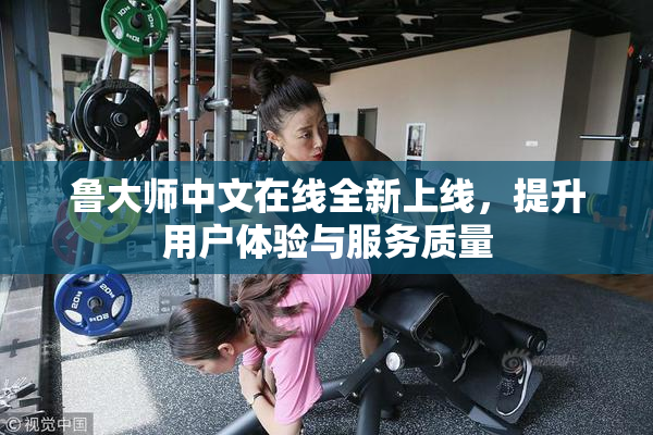 鲁大师中文在线全新上线，提升用户体验与服务质量