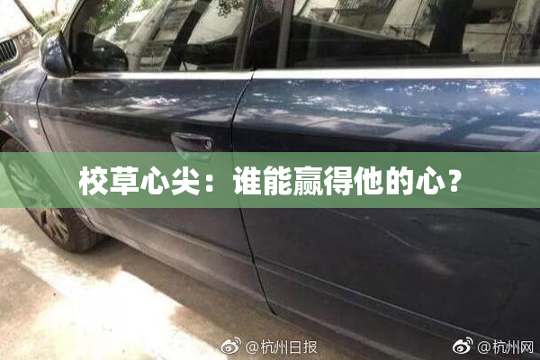 校草心尖：谁能赢得他的心？