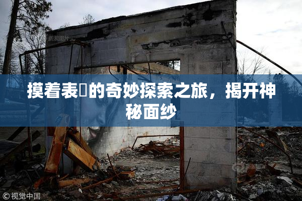 摸着表妺的奇妙探索之旅，揭开神秘面纱