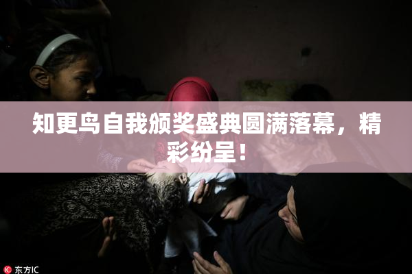 知更鸟自我颁奖盛典圆满落幕，精彩纷呈！