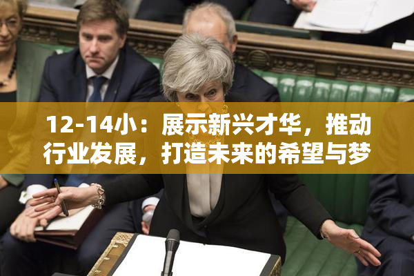 12-14小：展示新兴才华，推动行业发展，打造未来的希望与梦想。