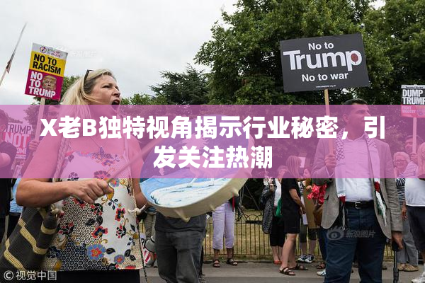 X老B独特视角揭示行业秘密，引发关注热潮