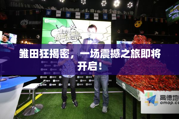 雏田狂揭密，一场震撼之旅即将开启！
