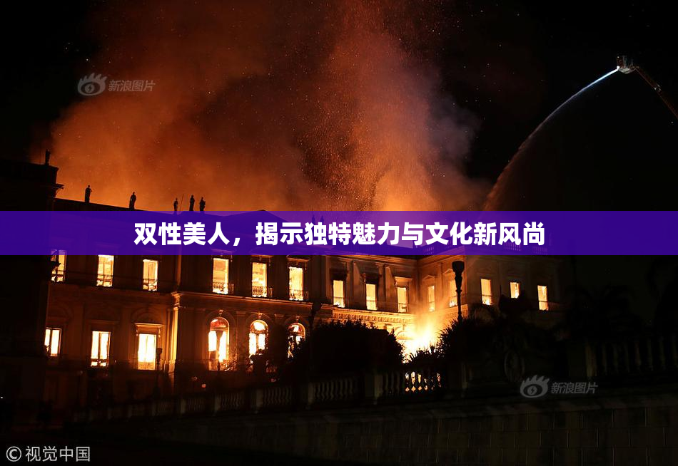 双性美人，揭示独特魅力与文化新风尚