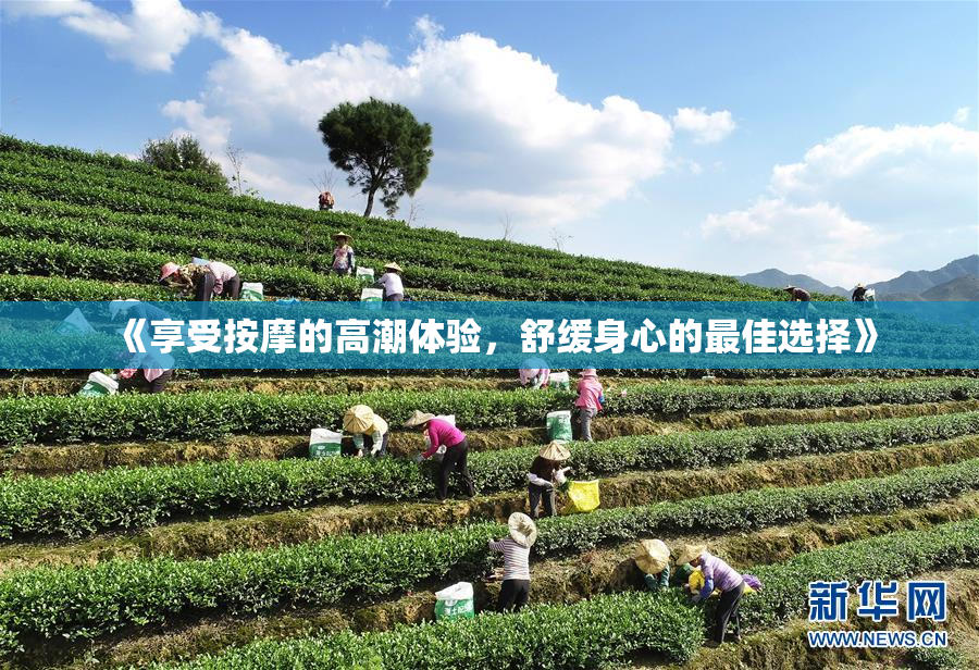 《享受按摩的高潮体验，舒缓身心的最佳选择》