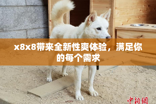 x8x8带来全新性爽体验，满足你的每个需求