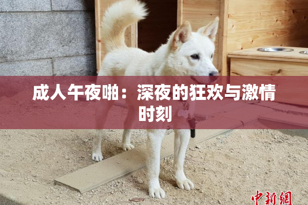 成人午夜啪：深夜的狂欢与激情时刻