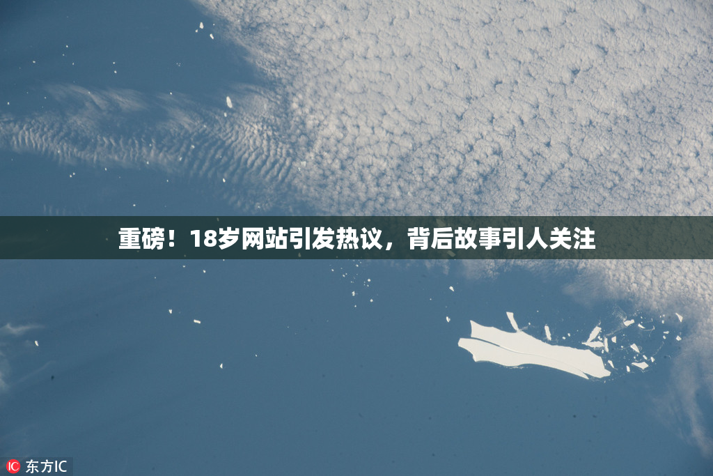 重磅！18岁网站引发热议，背后故事引人关注