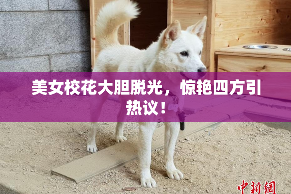 美女校花大胆脱光，惊艳四方引热议！
