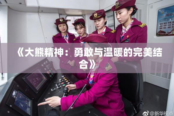 《大熊精神：勇敢与温暖的完美结合》