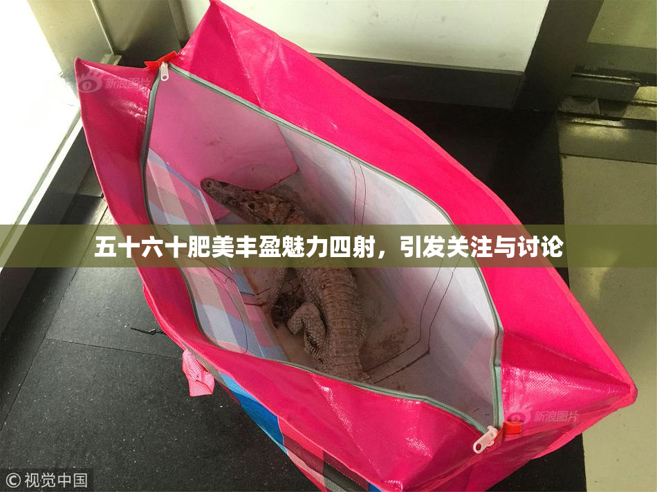 五十六十肥美丰盈魅力四射，引发关注与讨论