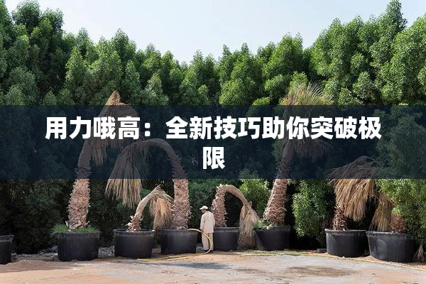 用力哦高：全新技巧助你突破极限