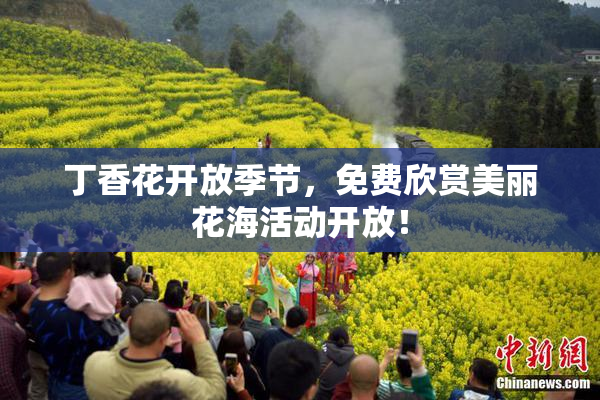 丁香花开放季节，免费欣赏美丽花海活动开放！
