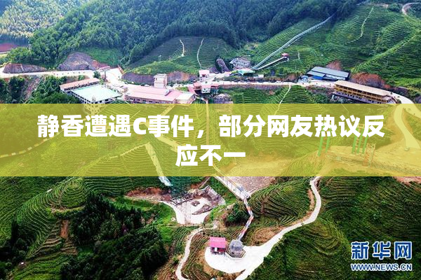 静香遭遇C事件，部分网友热议反应不一