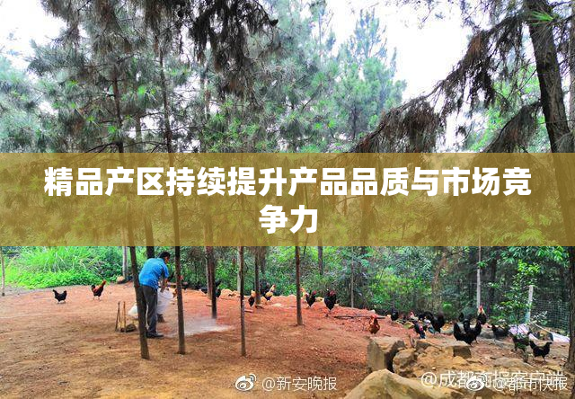 精品产区持续提升产品品质与市场竞争力