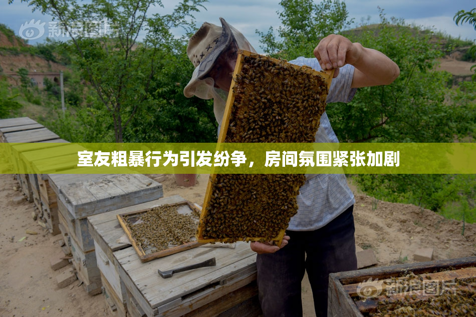 室友粗暴行为引发纷争，房间氛围紧张加剧