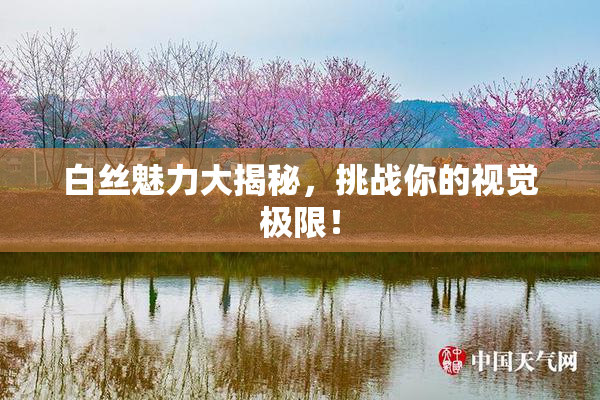 白丝魅力大揭秘，挑战你的视觉极限！