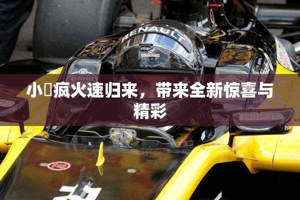 小泬疯火速归来，带来全新惊喜与精彩