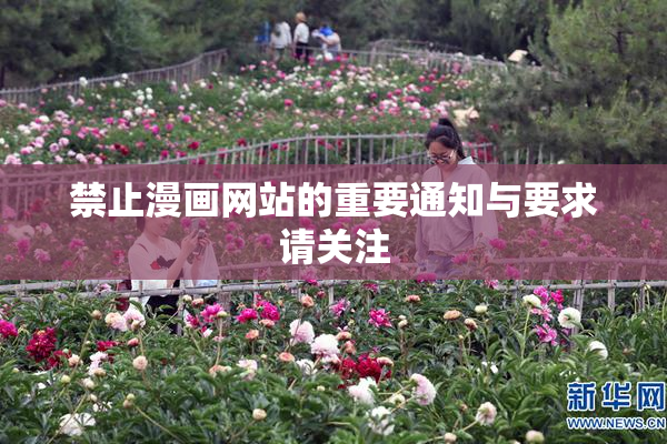 禁止漫画网站的重要通知与要求请关注