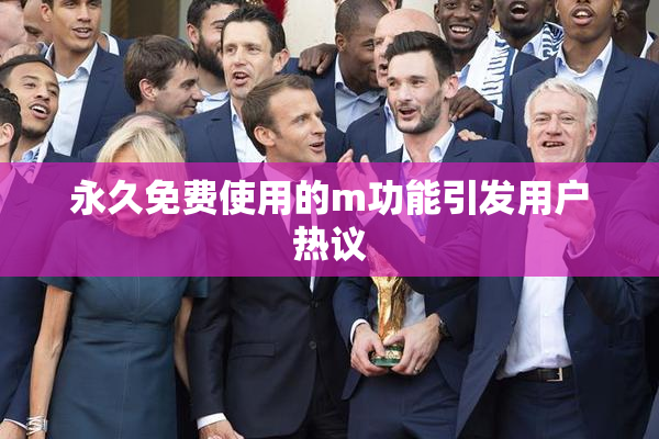 永久免费使用的m功能引发用户热议