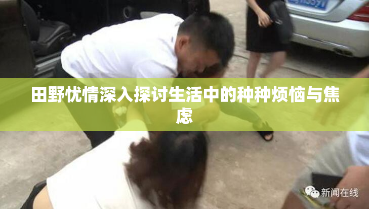 田野忧情深入探讨生活中的种种烦恼与焦虑