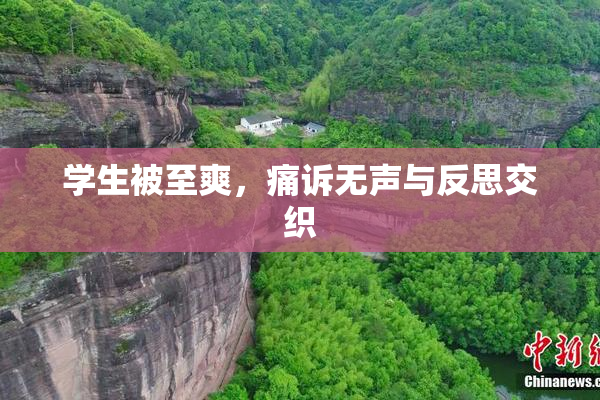 学生被至爽，痛诉无声与反思交织