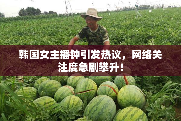 韩国女主播钟引发热议，网络关注度急剧攀升！