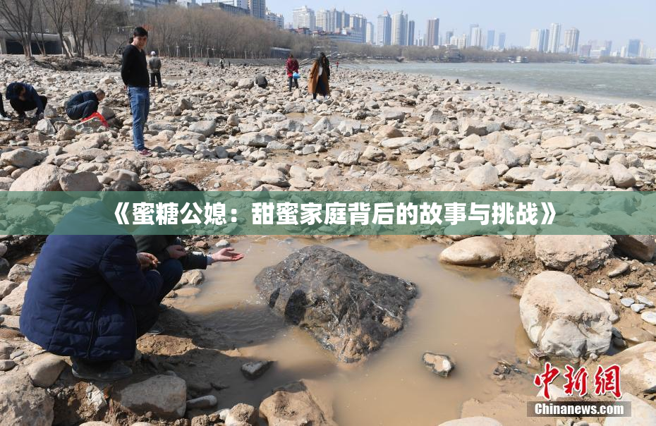 《蜜糖公媳：甜蜜家庭背后的故事与挑战》